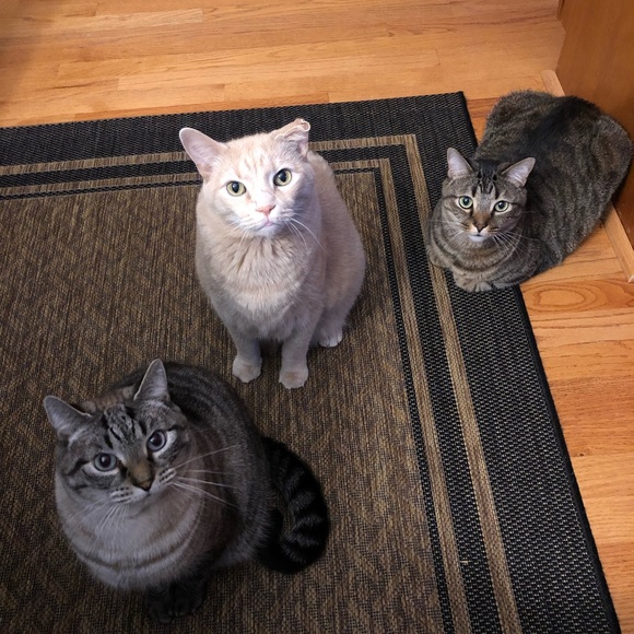 Meet your Posher, Colleen - Picture 2 of 3